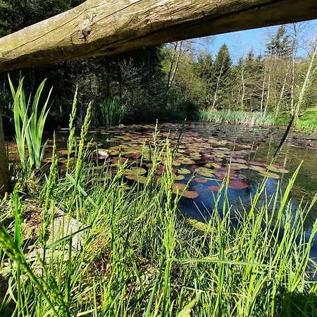 Apartman Alpipond Kamnik